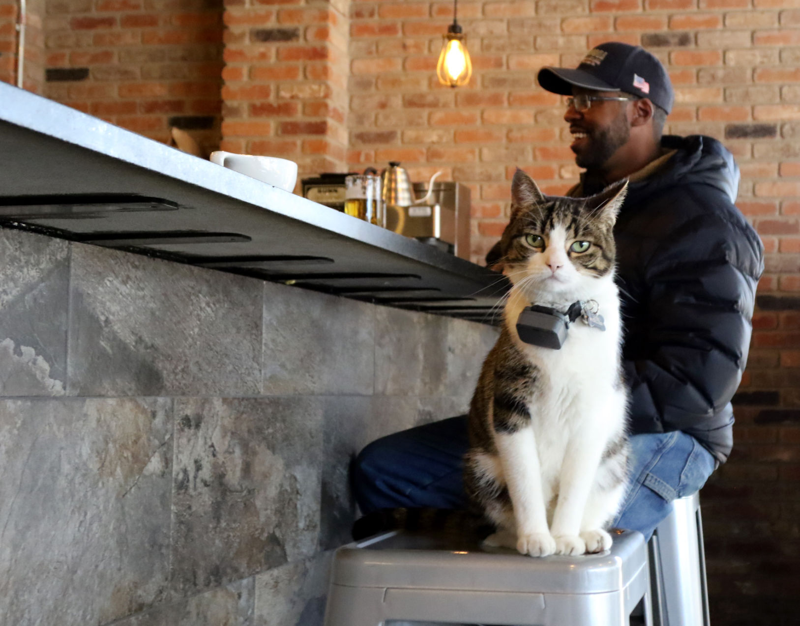 Luther, Windmill Brewery house cat